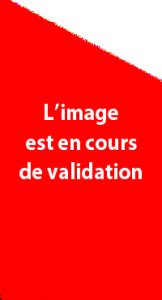 Sans titre-1