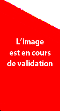 Sans titre-1