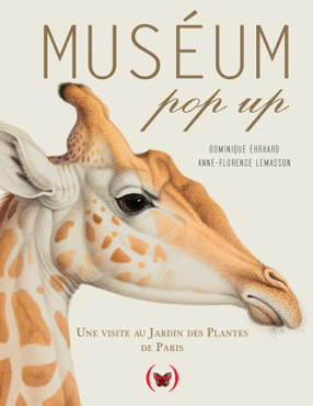 COUV MUSEUM.indd